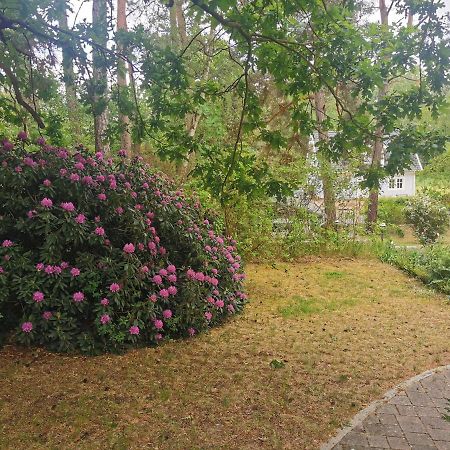 Fahrradpension Am Weg Nach Kopenhagen Fürstenberg-Havel Εξωτερικό φωτογραφία